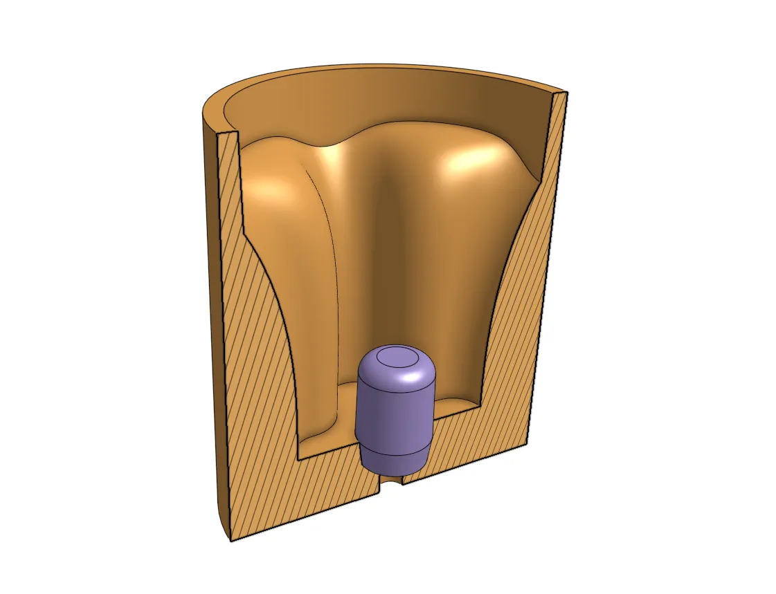 cross-section of the mold